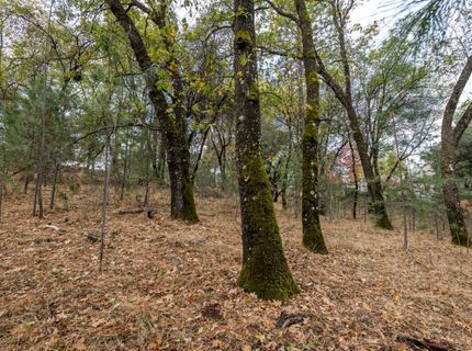 23717-lot 127 Darkhorse Dr, Auburn, CA 95602 Photo