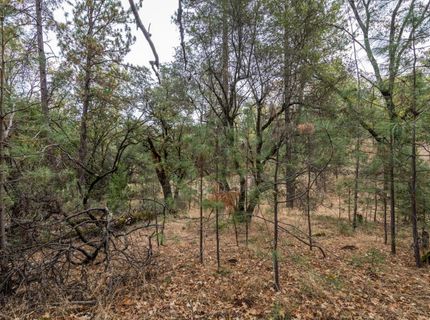23717-lot 127 Darkhorse Dr, Auburn, CA 95602 Photo