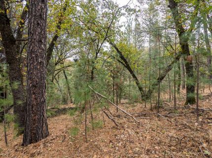 23717-lot 127 Darkhorse Dr, Auburn, CA 95602 Photo