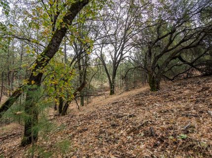23717-lot 127 Darkhorse Dr, Auburn, CA 95602 Photo