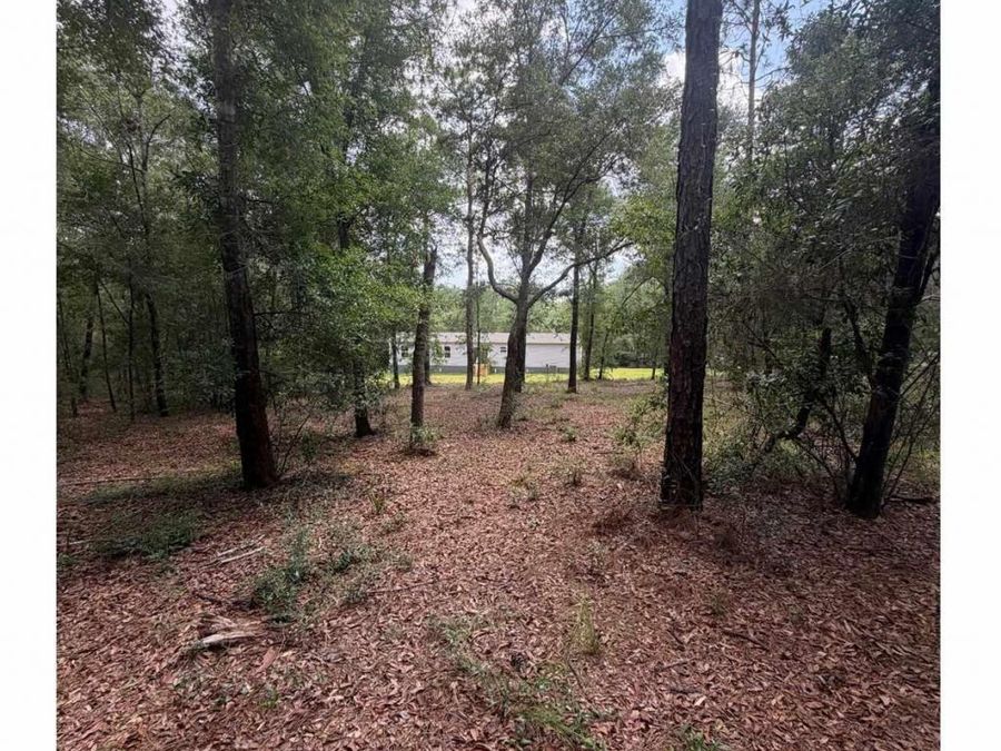 Property Image 67
