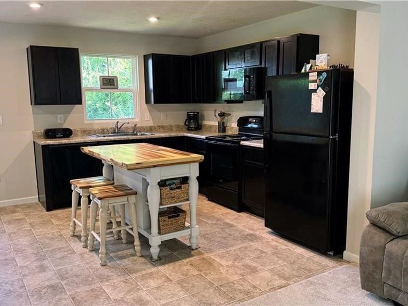 196 Raintree Lane, Painesville, OH 44077 Photo 5