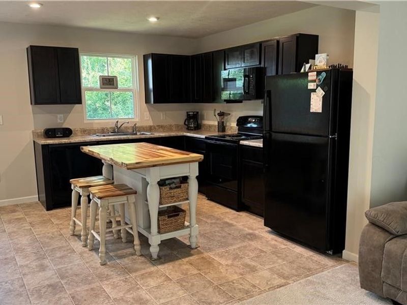 196 Raintree Lane, Painesville, OH 44077 Photo 7