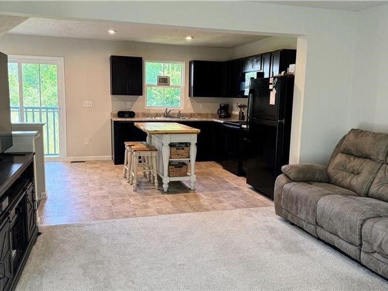 196 Raintree Lane, Painesville, OH 44077 Photo 8