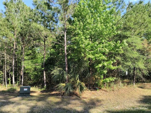 TBD NW 141ST AVENUE , WILLISTON, FL 32696