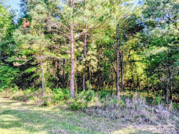 TBD NW 142ND STREET , WILLISTON, FL 32696