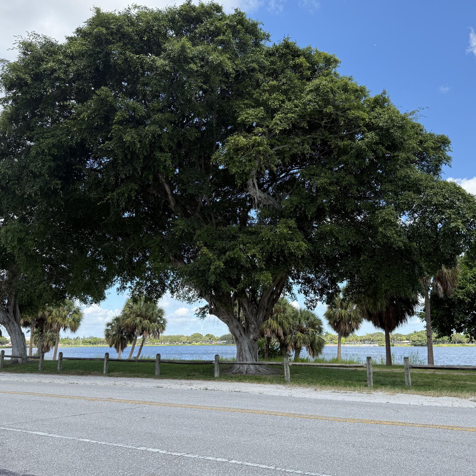 2102 Lake Osborne Drive, Unit 20, Lake Worth Beach, FL 33461 Photo