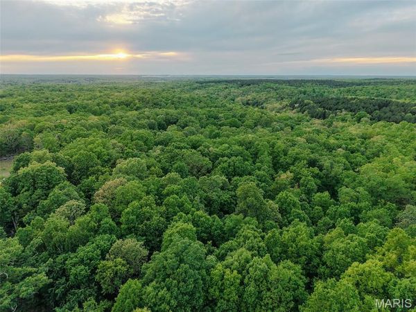 65 Acres+- E Highway 32 , Salem, MO 65560