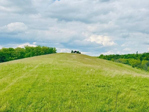 43 Acres Chipman Ridge Road, Unit 43 Acres, , Williamstown, KY 41097
