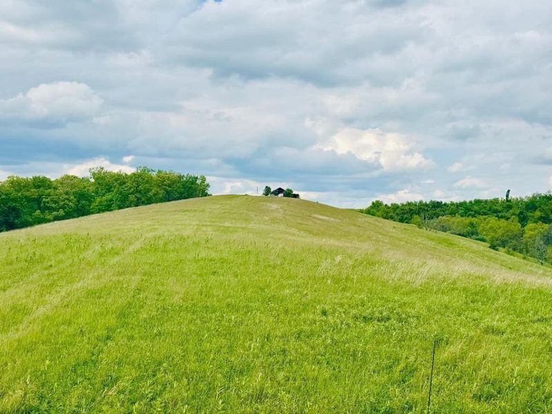 45 Acres Chipman Ridge Road, Unit 43 Acres,, Williamstown, KY 41097 Photo 1