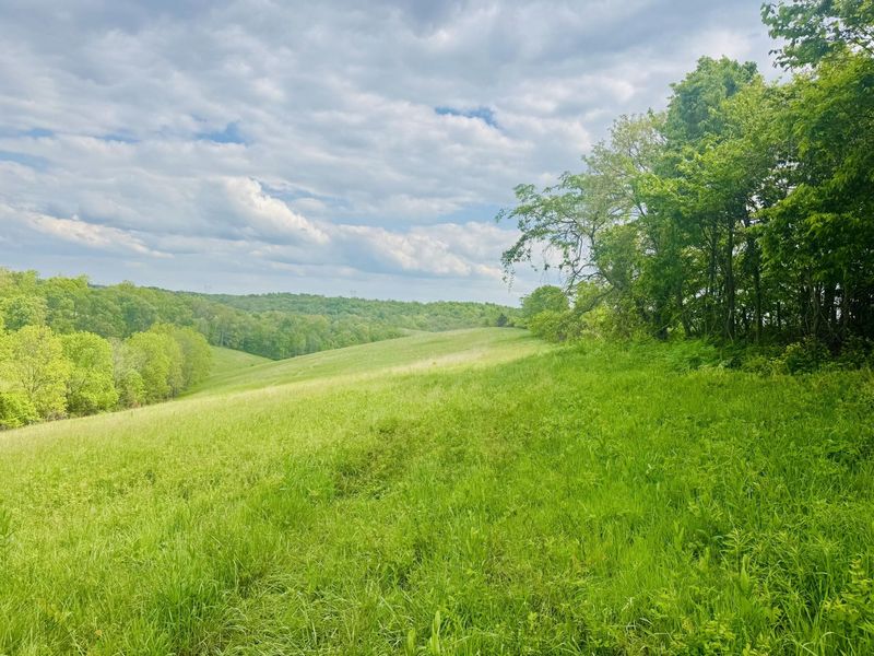 45 Acres Chipman Ridge Road, Unit 43 Acres,, Williamstown, KY 41097 Photo 10