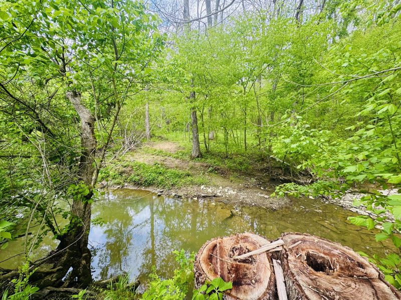 43 Acres Chipman Ridge Road, Unit 43 Acres,, Williamstown, KY 41097 Photo 12