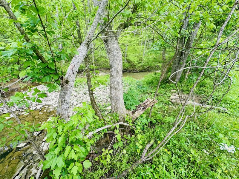 45 Acres Chipman Ridge Road, Unit 43 Acres,, Williamstown, KY 41097 Photo 13