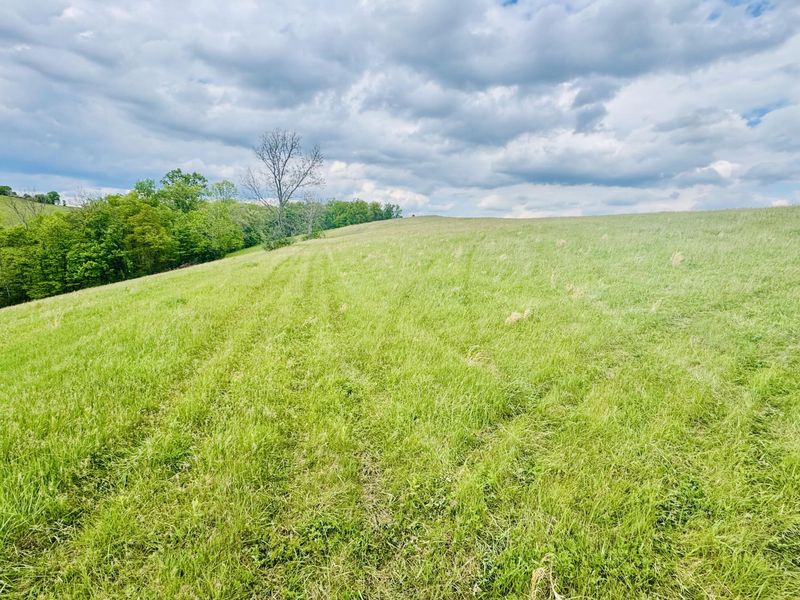 43 Acres Chipman Ridge Road, Unit 43 Acres, , Williamstown, KY 41097 Photo 14