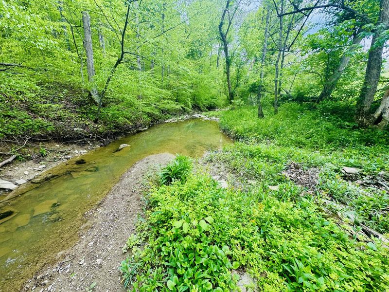 43 Acres Chipman Ridge Road, Unit 43 Acres, , Williamstown, KY 41097 Photo 15