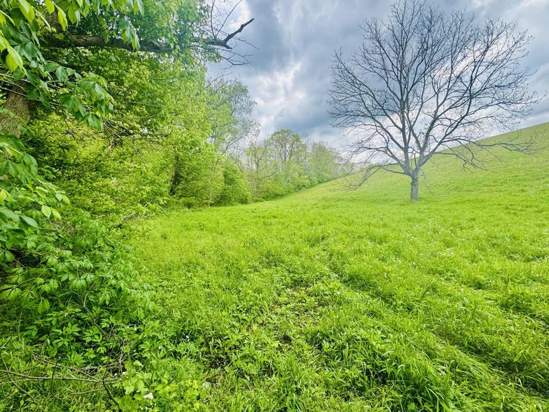 43 Acres Chipman Ridge Road, Unit 43 Acres,, Williamstown, KY 41097 Photo 16