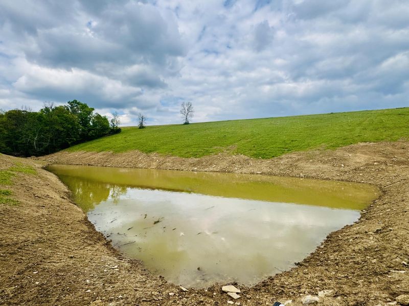 43 Acres Chipman Ridge Road, Unit 43 Acres,, Williamstown, KY 41097 Photo 2