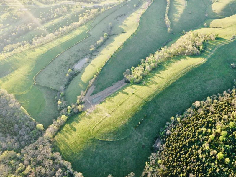 45 Acres Chipman Ridge Road, Unit 43 Acres,, Williamstown, KY 41097 Photo 20