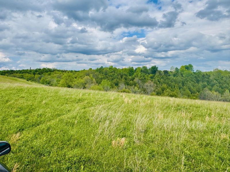 45 Acres Chipman Ridge Road, Unit 43 Acres,, Williamstown, KY 41097 Photo 4