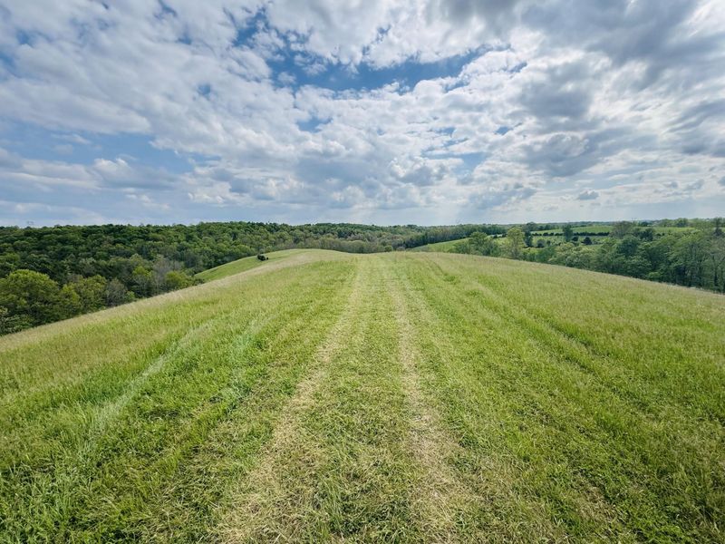 43 Acres Chipman Ridge Road, Unit 43 Acres,, Williamstown, KY 41097 Photo 5