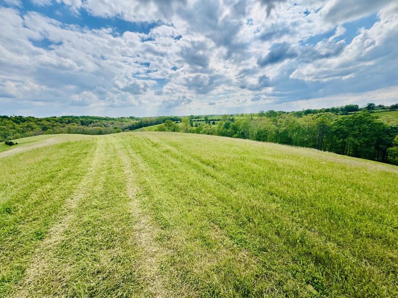 43 Acres Chipman Ridge Road, Unit 43 Acres, , Williamstown, KY 41097 Photo 6