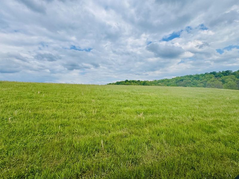 43 Acres Chipman Ridge Road, Unit 43 Acres, , Williamstown, KY 41097 Photo 8