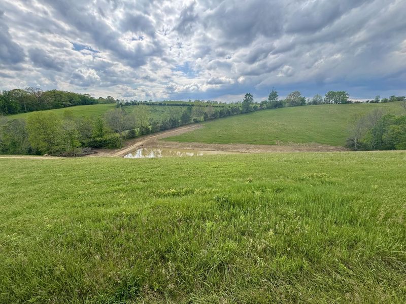 43 Acres Chipman Ridge Road, Unit 43 Acres, , Williamstown, KY 41097 Photo 9