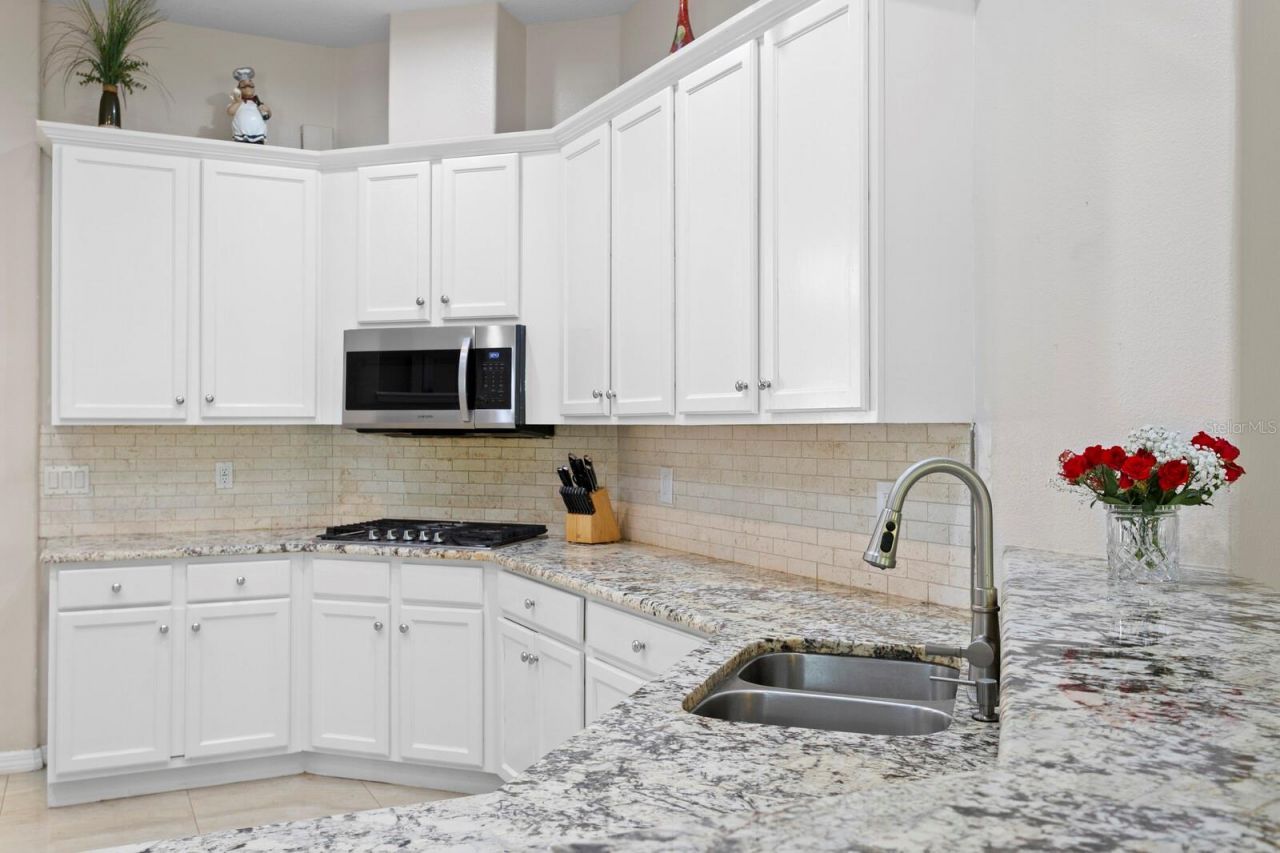 17888 Arbor Greene Drive, Tampa, FL 33647 Photo