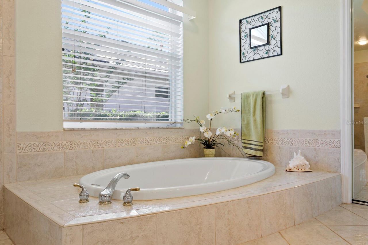 17888 Arbor Greene Drive, Tampa, FL 33647 Photo