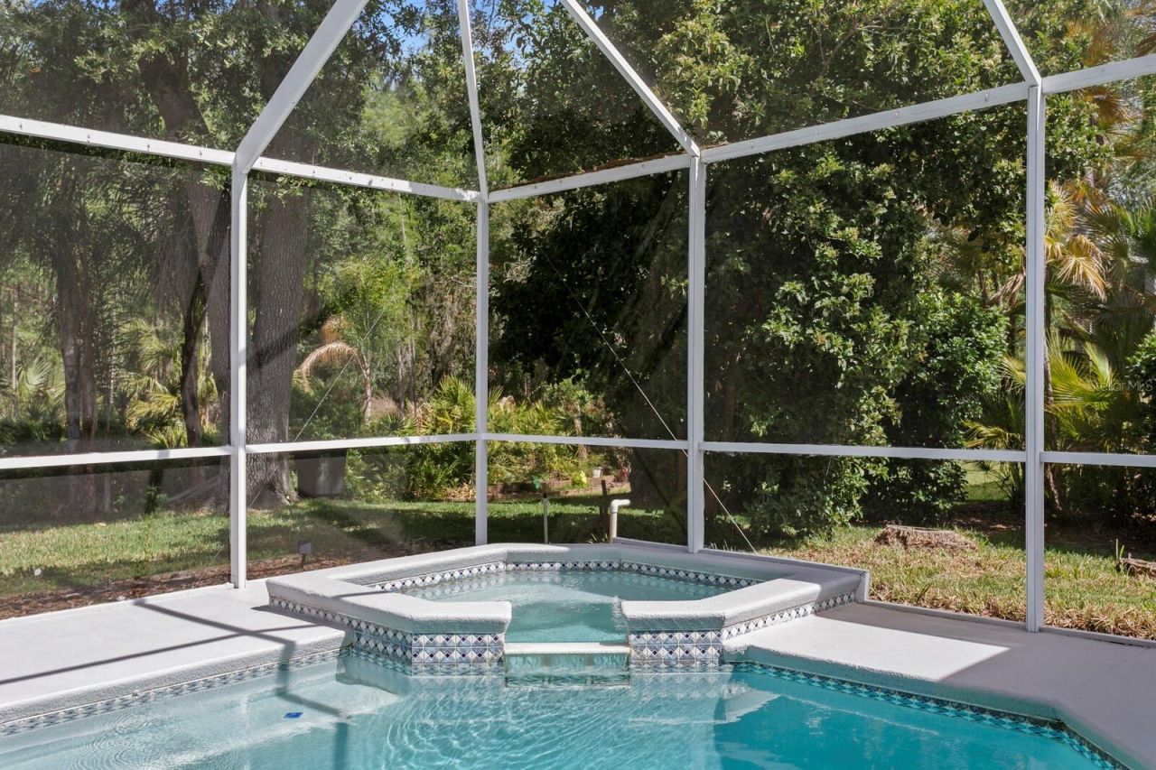 17888 Arbor Greene Drive, Tampa, FL 33647 Photo