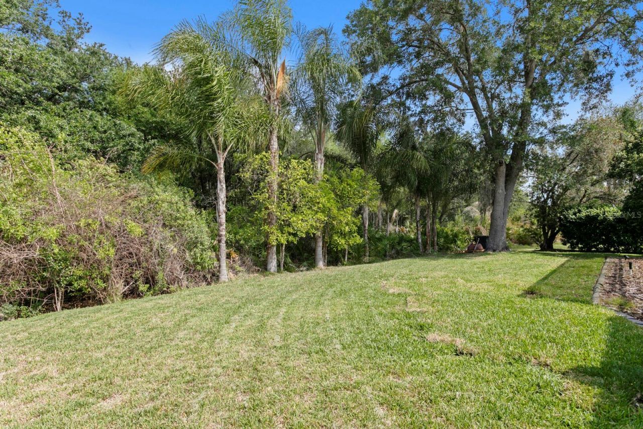 17888 Arbor Greene Drive, Tampa, FL 33647 Photo