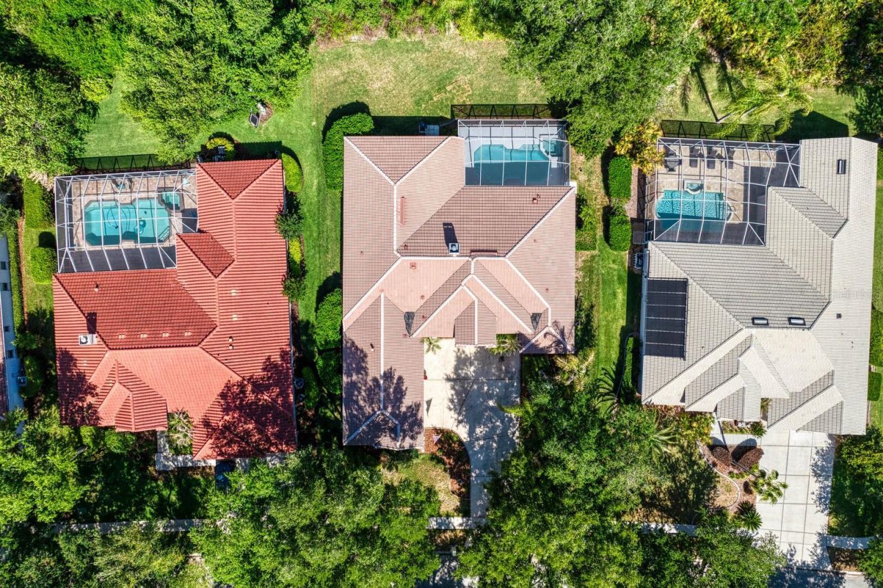 17888 Arbor Greene Drive, Tampa, FL 33647 Photo