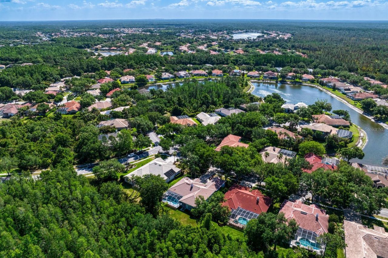 17888 Arbor Greene Drive, Tampa, FL 33647 Photo
