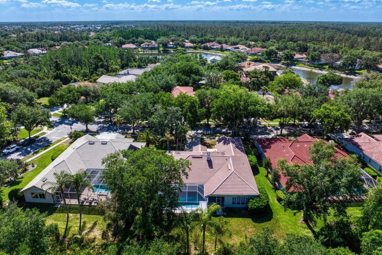 17888 Arbor Greene Drive, Tampa, FL 33647 Photo
