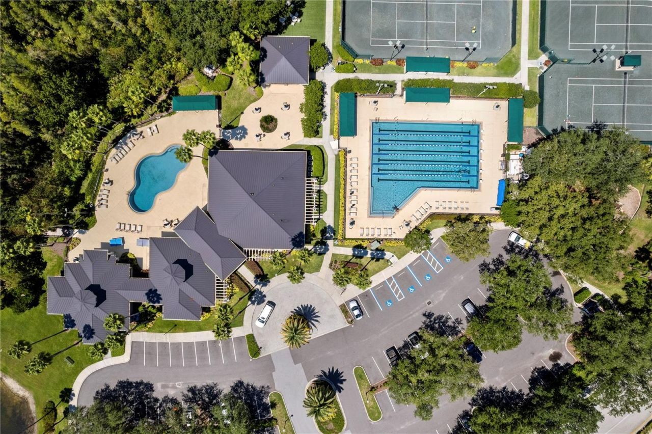 17888 Arbor Greene Drive, Tampa, FL 33647 Photo