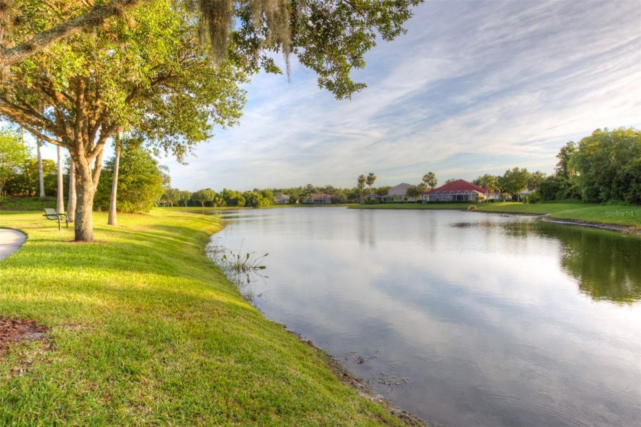 17888 Arbor Greene Drive, Tampa, FL 33647 Photo