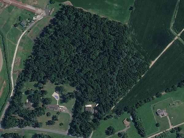 Vacant Lot 6.1 Acres PROSPECT CHURCH ROAD , HARRINGTON, DE 19952