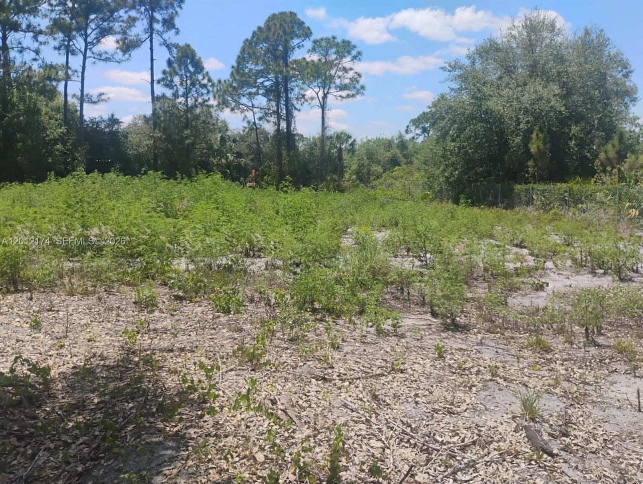 640 N Riverside St , Clewiston, FL 33440 Photo