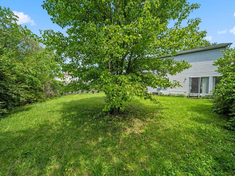 2983 Castlebrook Avenue, Hilliard, OH 43026 Photo 51