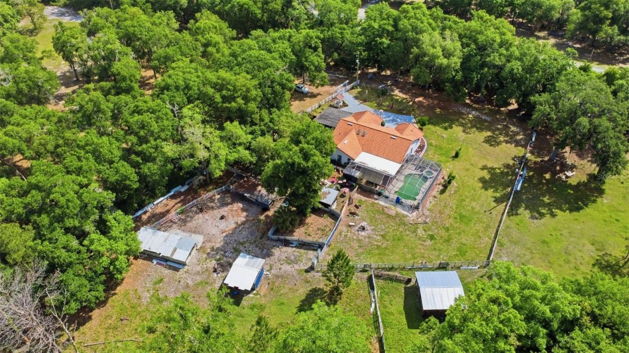 1898 Blackwelder Road, De Leon Springs, FL 32130 Photo