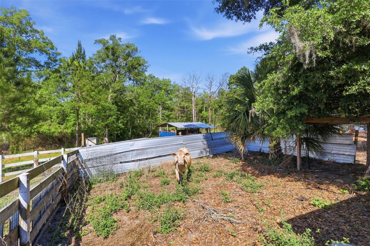 1898 Blackwelder Road, De Leon Springs, FL 32130 Photo