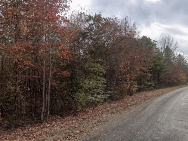 390 Sandusky Rd, Phil Campbell, AL 35581