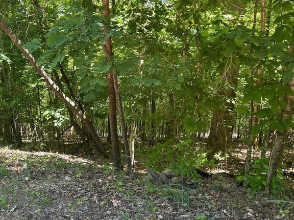lot 63 Stoney Rock Lane, Jacksboro, TN 37757