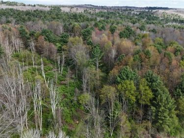9155 Smith Road, Lindley, NY 14858