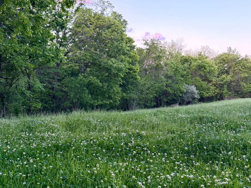 0 Maynard Road, Huntington Twp, OH 45167 Photo 28