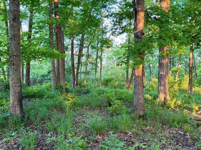 0 Maynard Road, Huntington Twp, OH 45167 Photo 84
