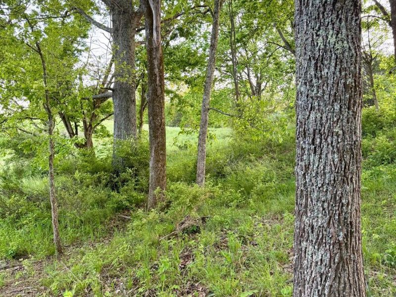 0 Maynard Road, Huntington Twp, OH 45167 Photo 88