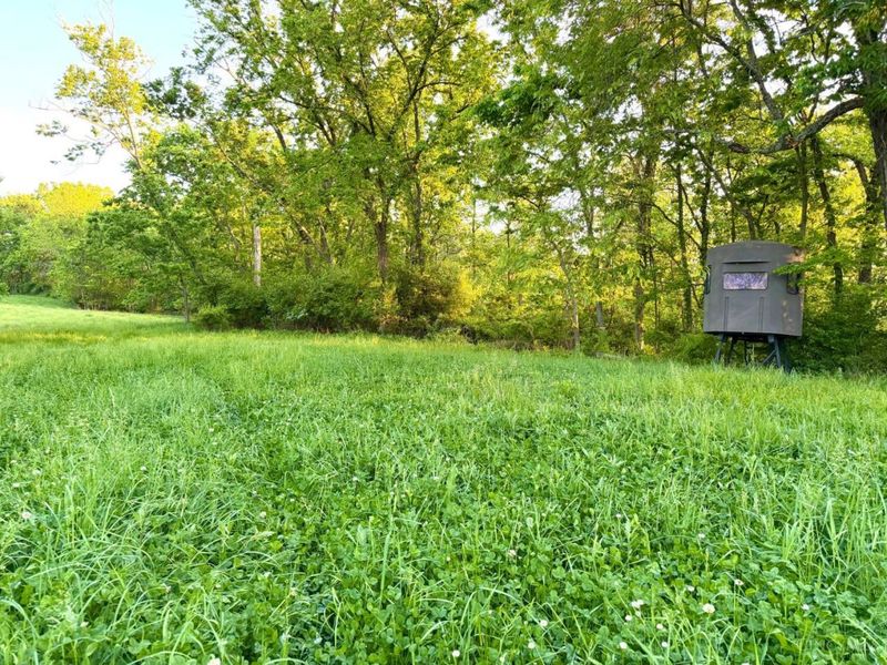 0 Maynard Road, Huntington Twp, OH 45167 Photo 9