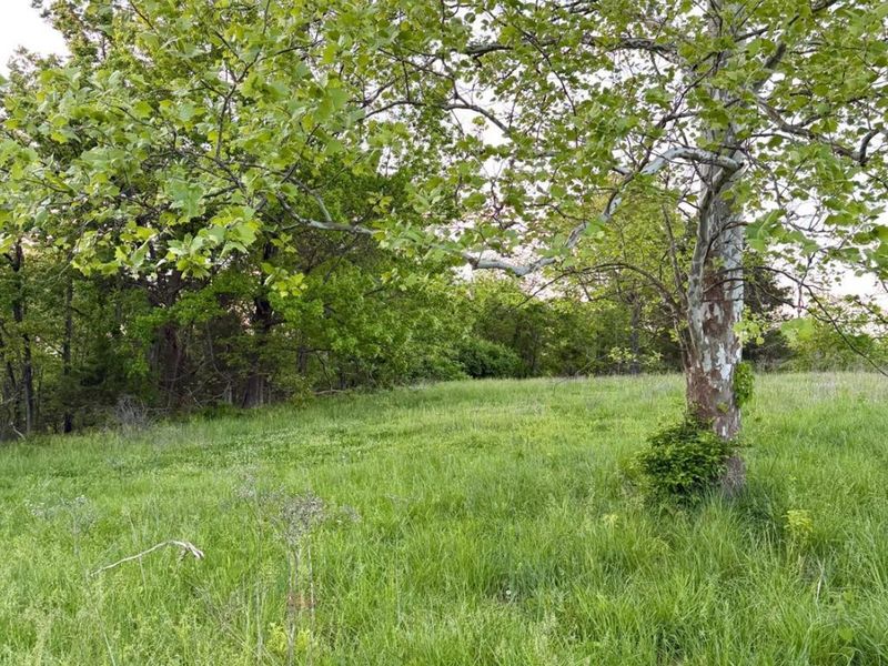 0 Maynard Road, Huntington Twp, OH 45167 Photo 92