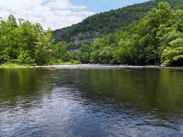 4320 Barnes Hollow Rd, Cosby, TN 37722